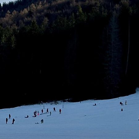 Willa Na Potoku Zakopane Zewnętrze zdjęcie